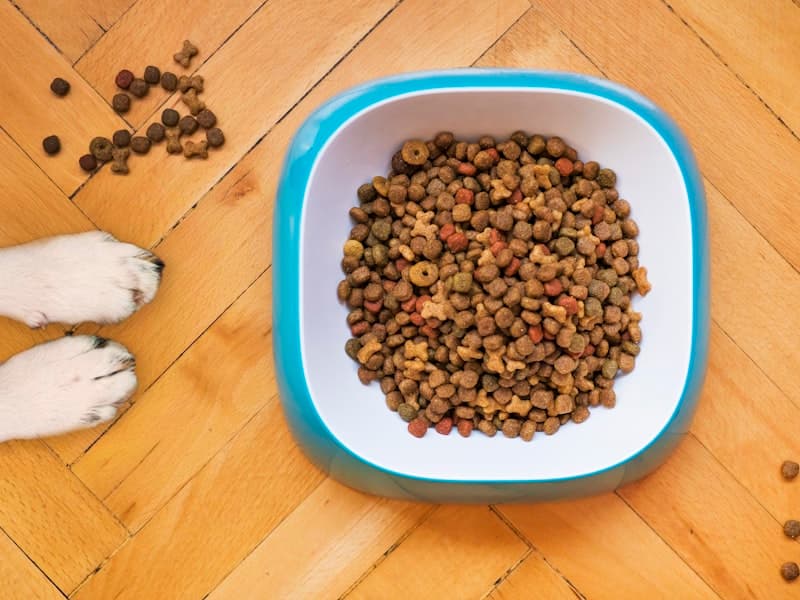 宠花舒净味喷雾